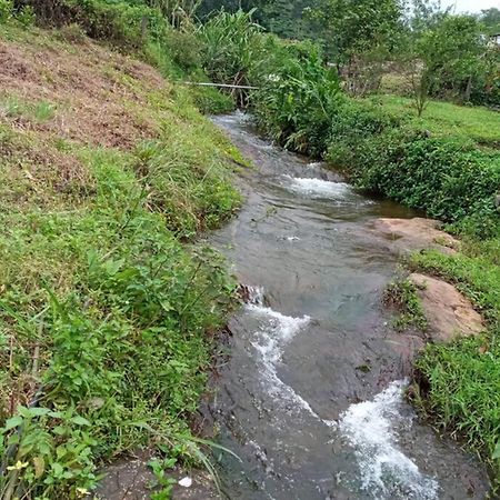 Farmstay In ചില്ലുകൂടാരം At Les Domki Et Al. Vagamon Esterno foto