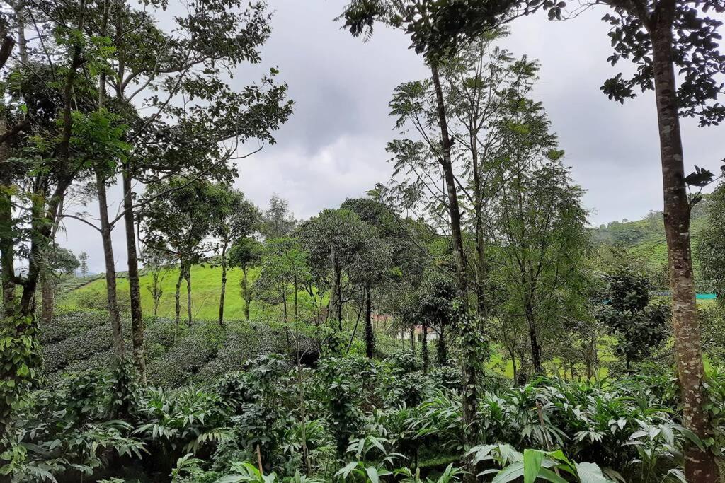 Farmstay In ചില്ലുകൂടാരം At Les Domki Et Al. Vagamon Esterno foto