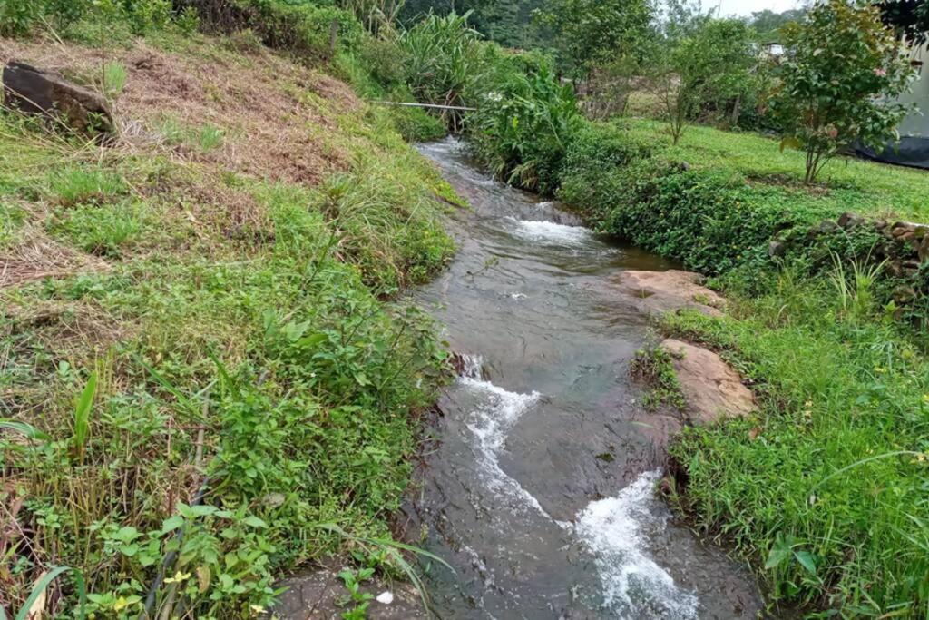 Farmstay In ചില്ലുകൂടാരം At Les Domki Et Al. Vagamon Esterno foto