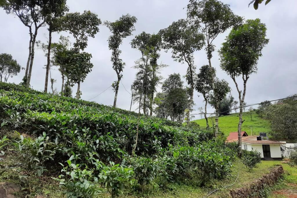 Farmstay In ചില്ലുകൂടാരം At Les Domki Et Al. Vagamon Esterno foto