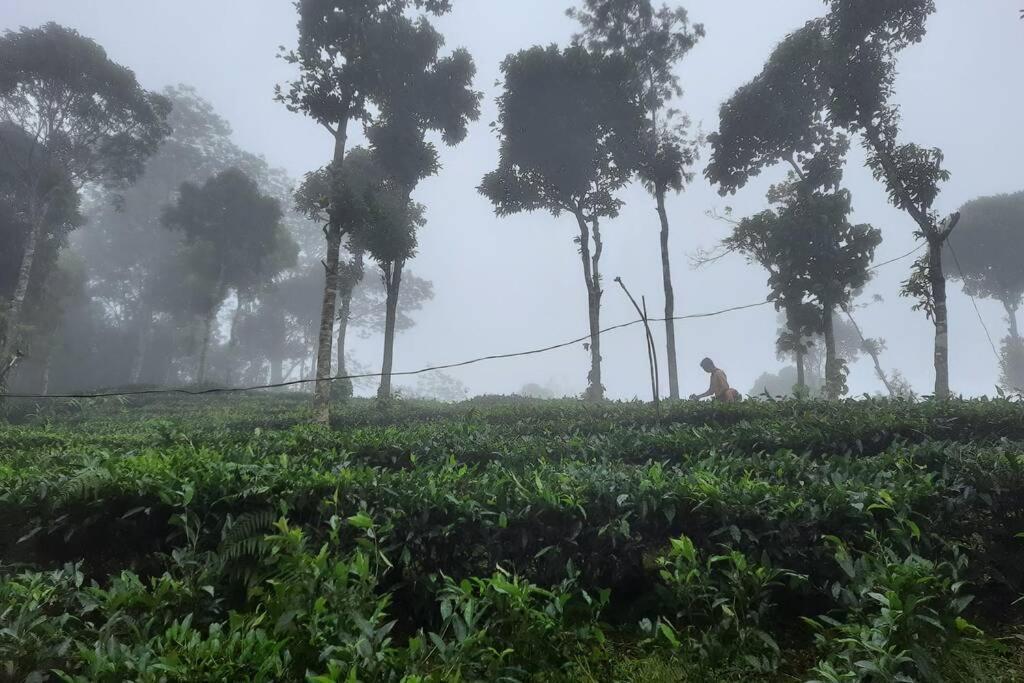 Farmstay In ചില്ലുകൂടാരം At Les Domki Et Al. Vagamon Esterno foto
